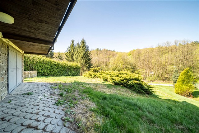 pozemek u chaty [9/42]